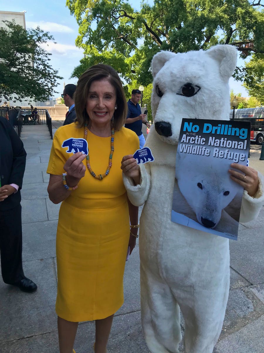 Polar Bear with Nancy Pelosi